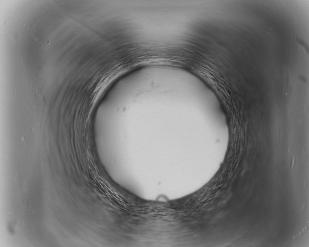 X0000102780289200808180937