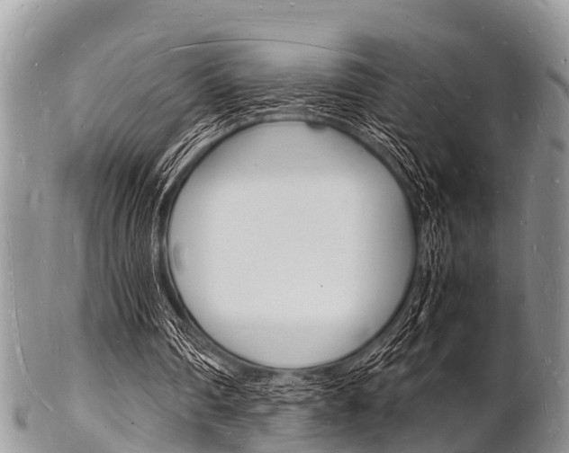 X0000102780290200808180937