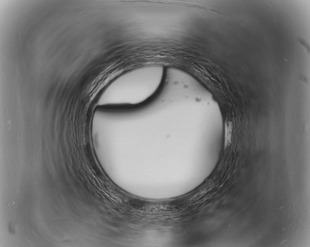 X0000102780291200808180937