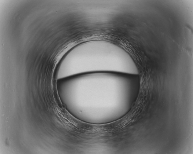 X0000102780292200808180937