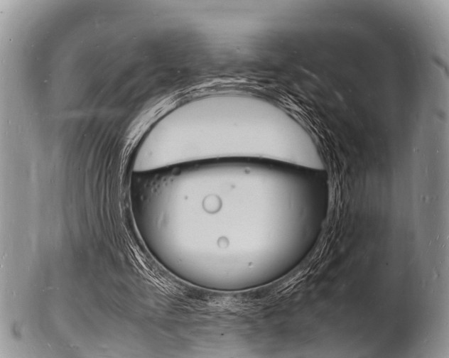 X0000102780293200808180937