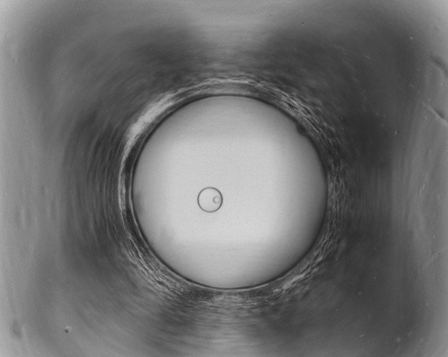 X0000102780294200808180937