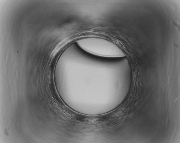 X0000102780295200808180937