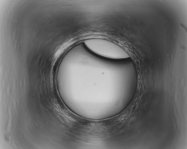 X0000102780296200808180937