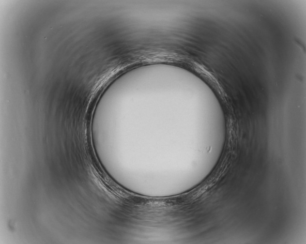 X0000102780298200808180937