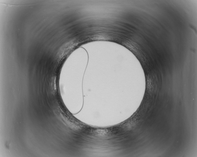 X0000102780302200808180937