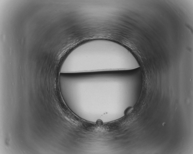 X0000102780303200808180937