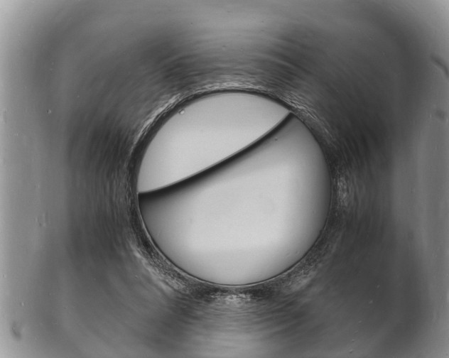 X0000102780304200808180937