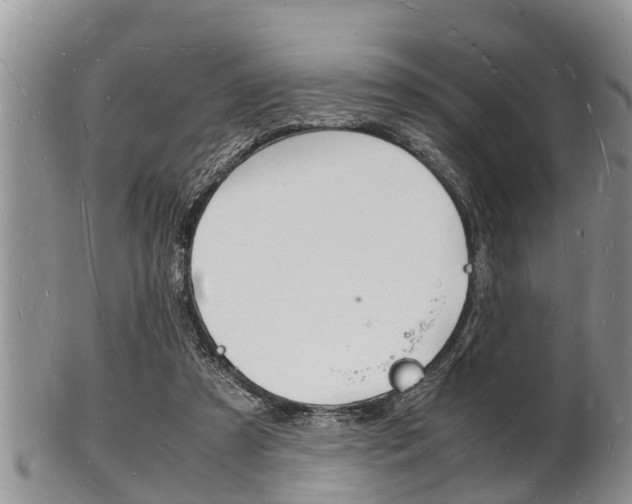 X0000102780305200808180937