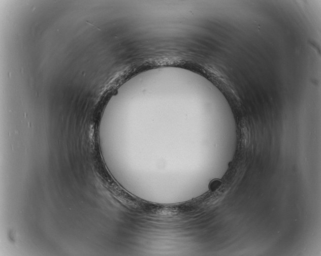 X0000102780308200808180937