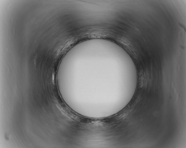 X0000102780310200808180937