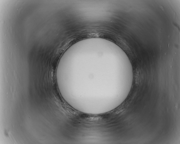 X0000102780314200808180937