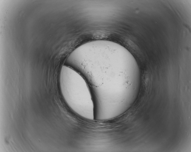 X0000102780315200808180937