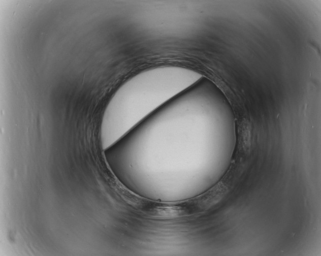 X0000102780316200808180937