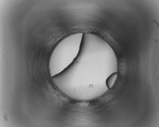 X0000102780318200808180937