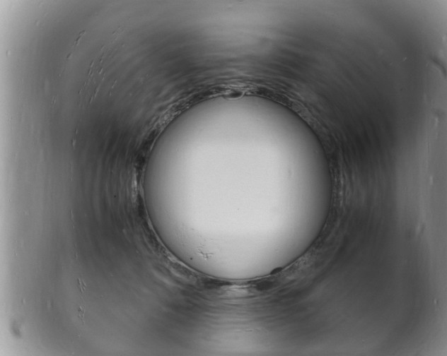 X0000102780320200808180937