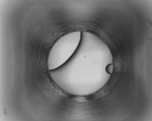 X0000102780322200808180937