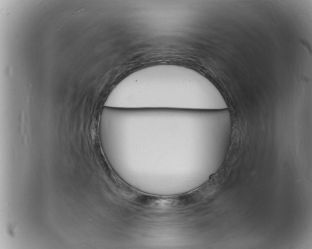 X0000102780323200808180937