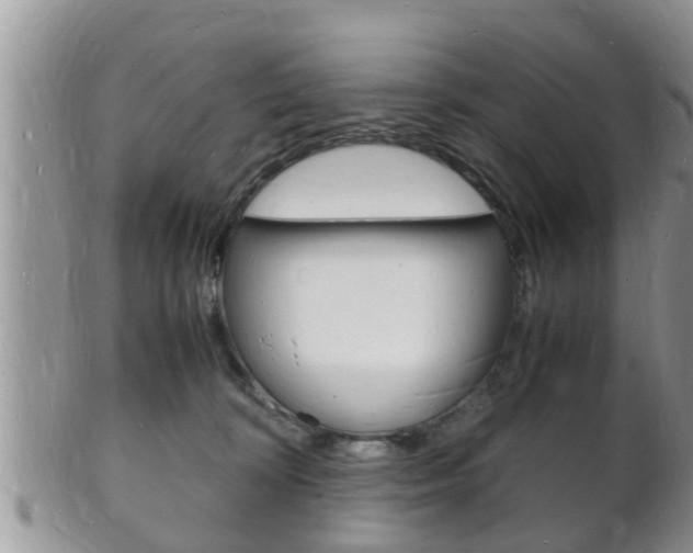 X0000102780324200808180937