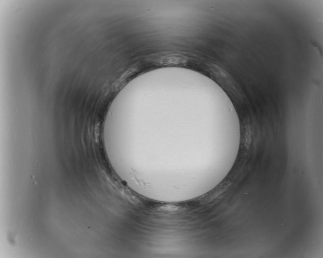 X0000102780326200808180937