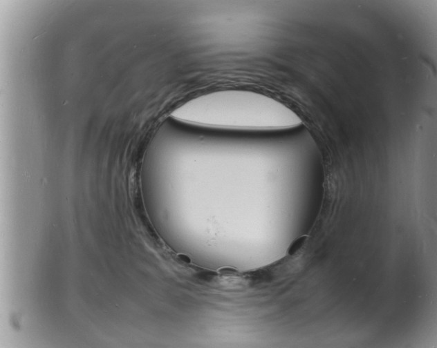 X0000102780327200808180937