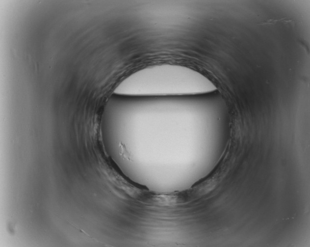 X0000102780328200808180937