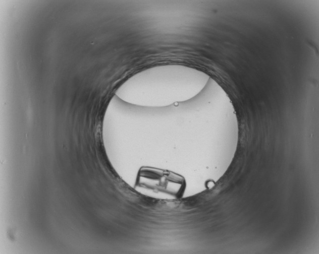 X0000102780329200808180937