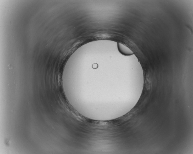 X0000102780330200808180937