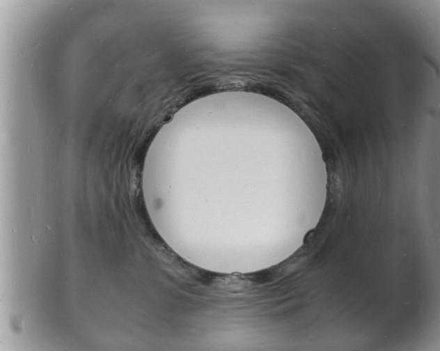 X0000102780331200808180937