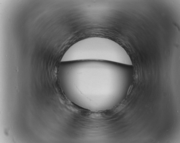 X0000102780332200808180937