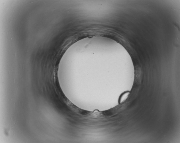 X0000102780333200808180937