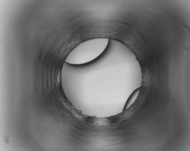 X0000102780334200808180937