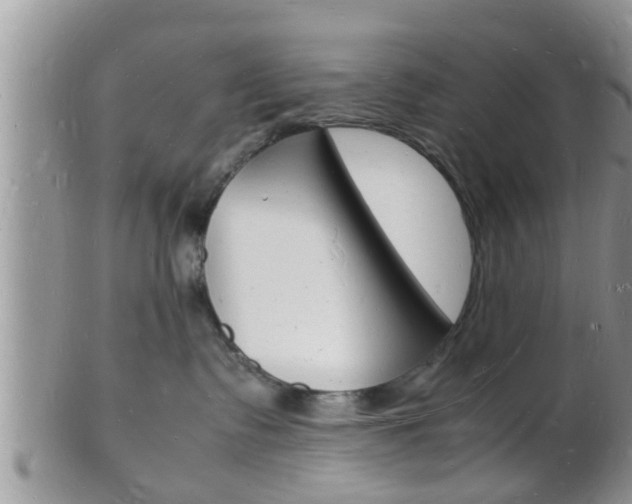 X0000102780335200808180937