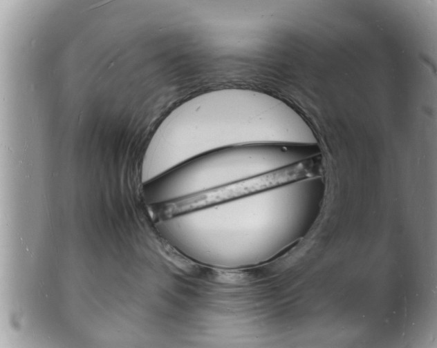 X0000102780336200808180937