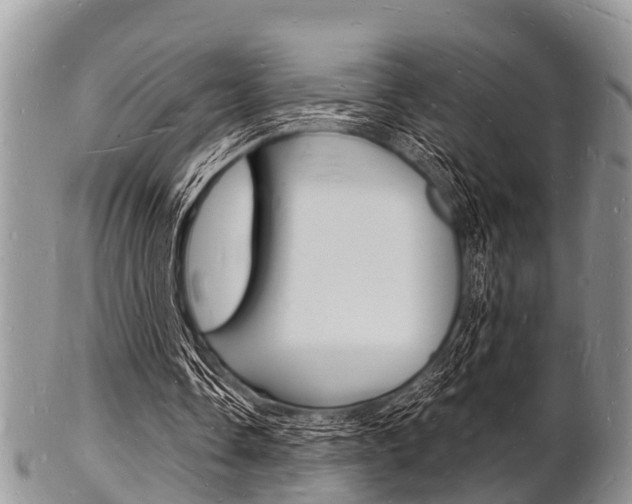 X0000102780338200808180936