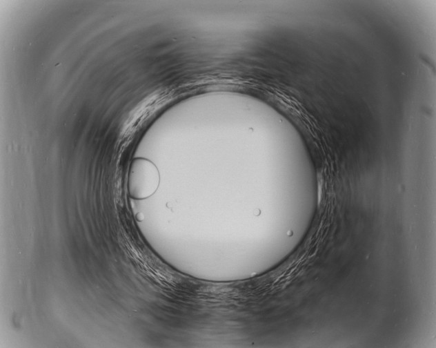 X0000102780339200808180936