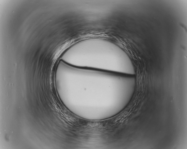 X0000102780340200808180936