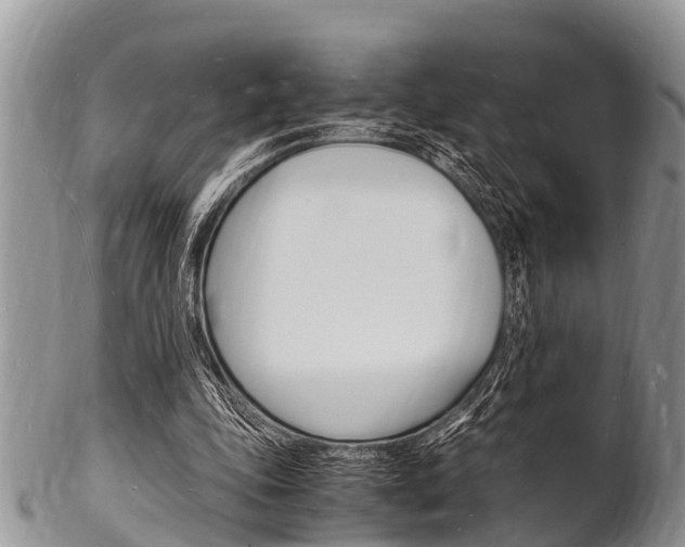 X0000102780343200808180936