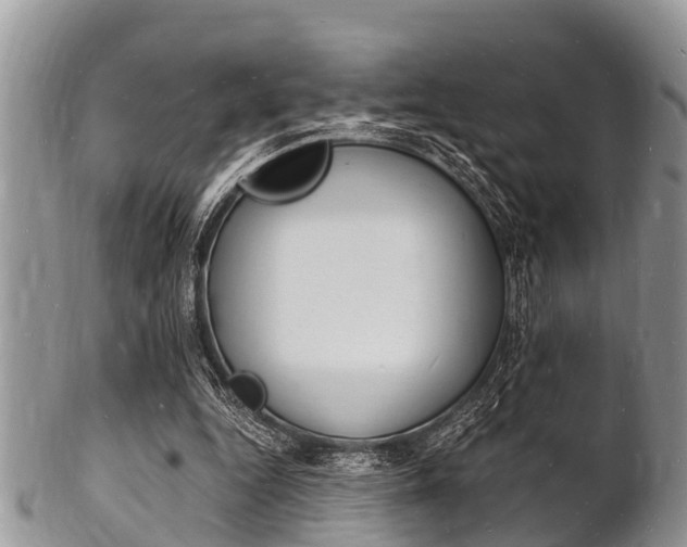 X0000102780344200808180936