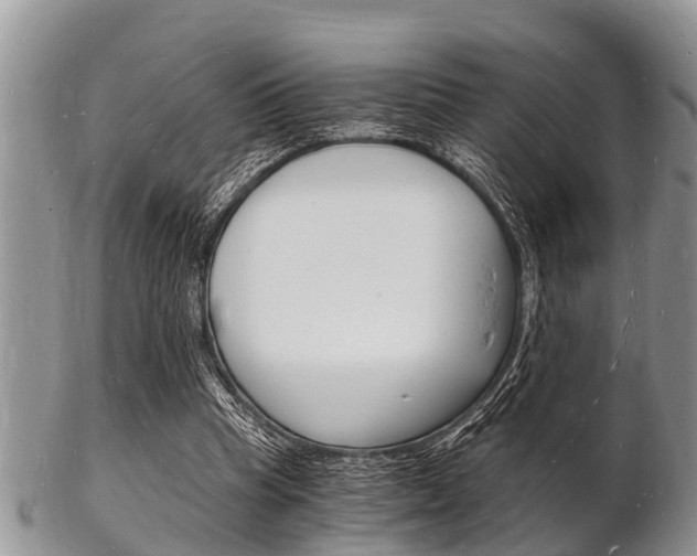X0000102780345200808180936
