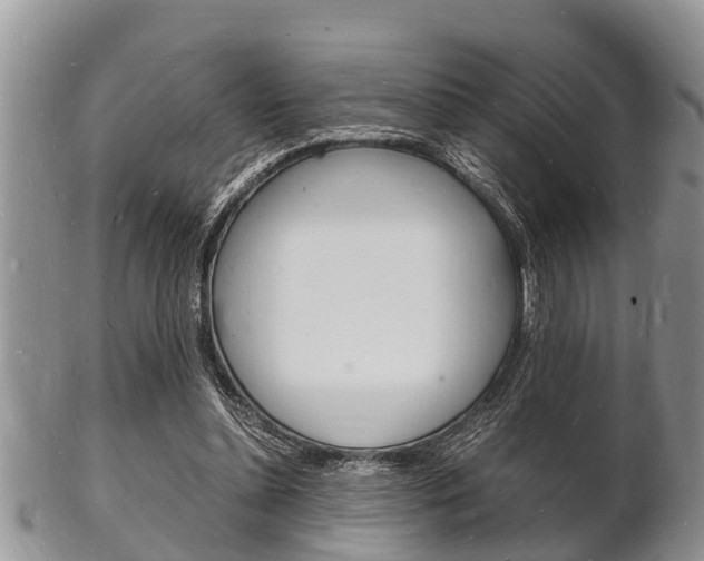 X0000102780348200808180936