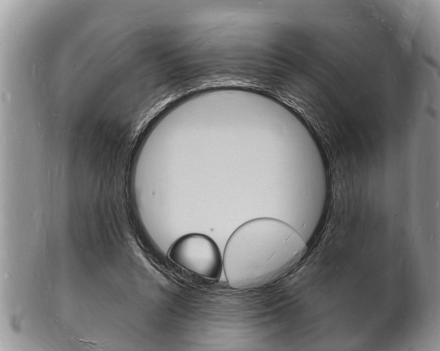 X0000102780352200808180936
