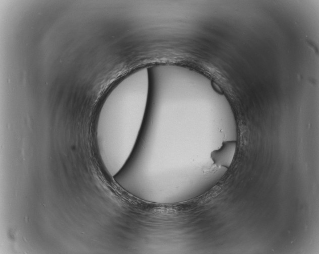 X0000102780354200808180936