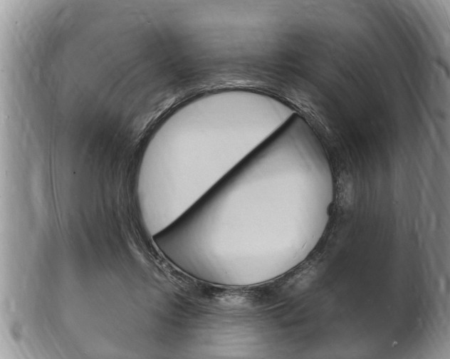 X0000102780358200808180936