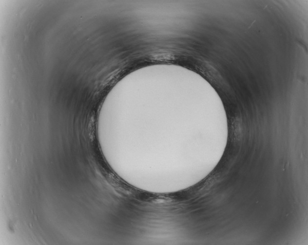 X0000102780364200808180936