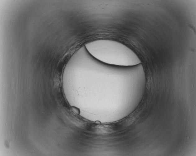 X0000102780367200808180936
