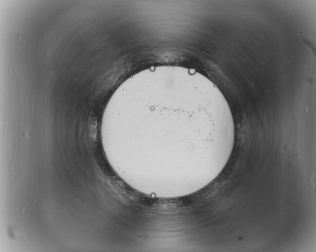X0000102780368200808180936