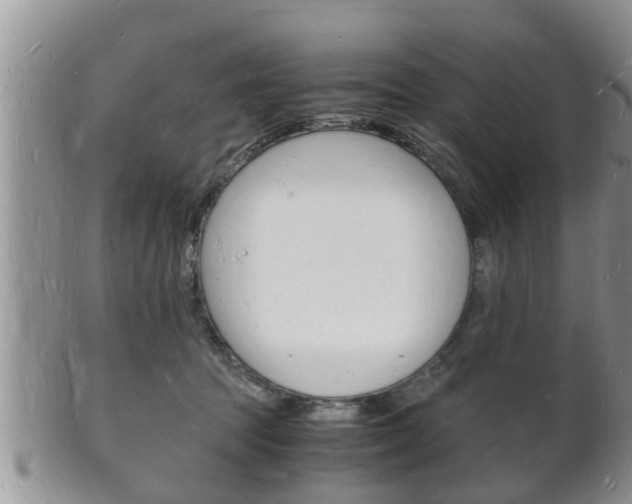 X0000102780369200808180937