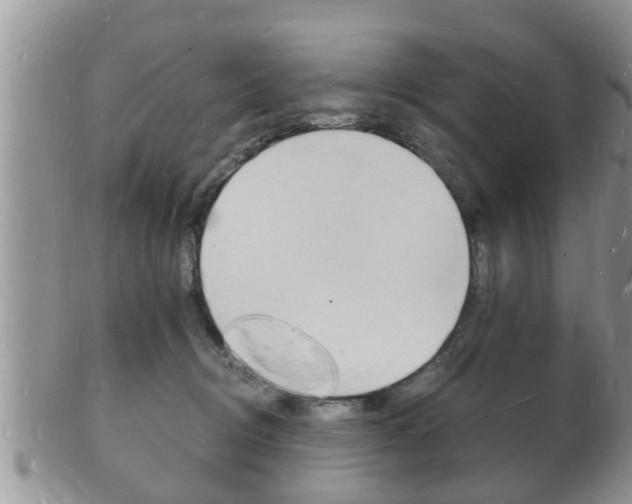 X0000102780370200808180937