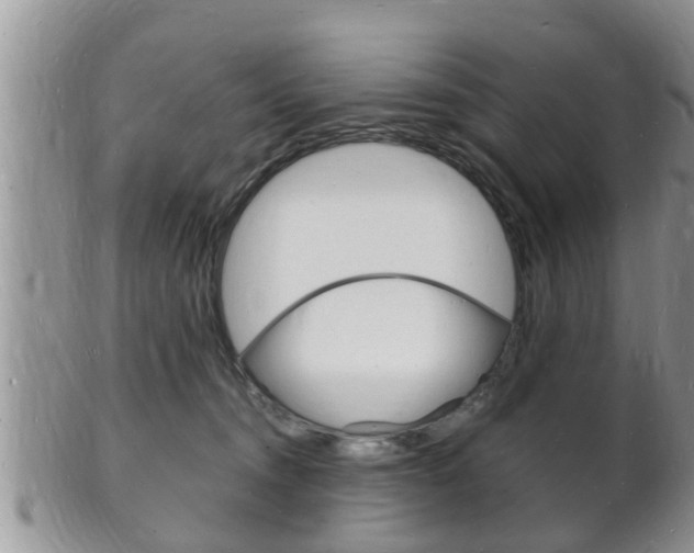 X0000102780372200808180937